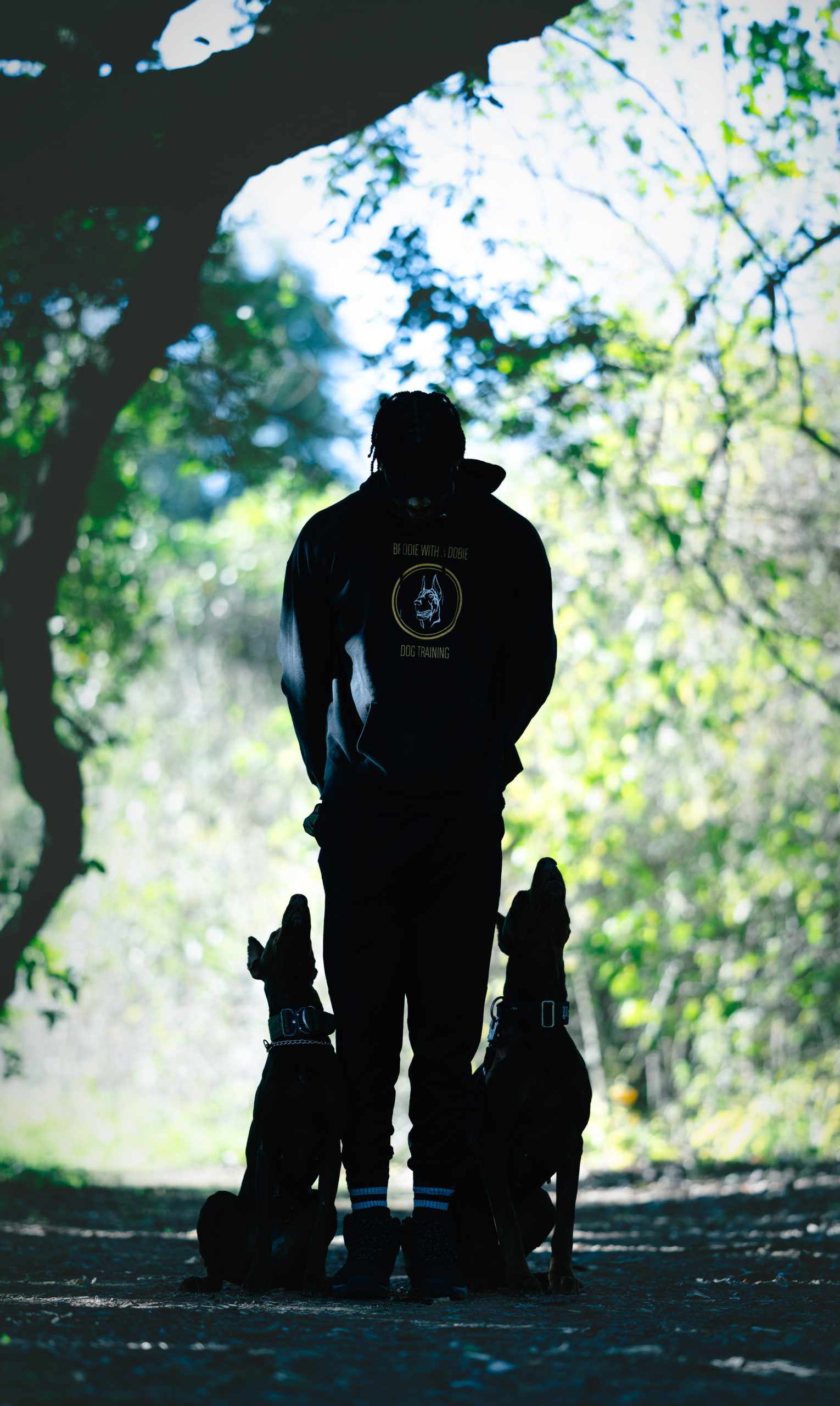 Gallery Brodie With A Dobie